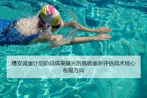 锡安减重计划阶段成果曝光后鹈鹕重新评估战术核心布局方向